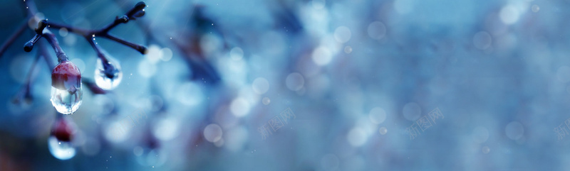 冬季唯美树枝水滴背景banner摄影图片