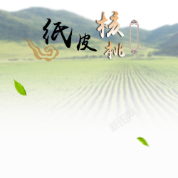 农产品主田野风景纸皮核桃PSD分层主图背景高清图片