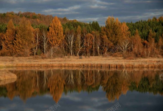 红色秋季树林小湖海报微背景