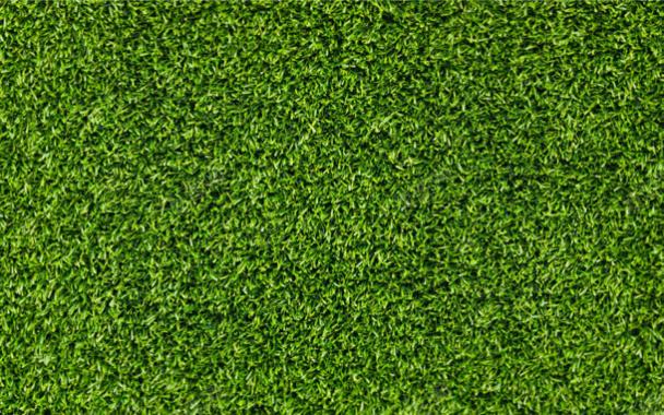 绿色草地小草壁纸背景