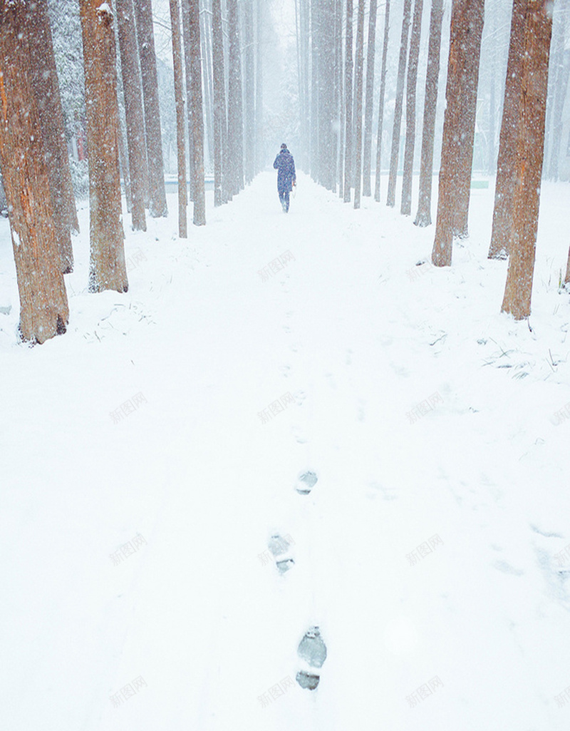 雪地上独行的脚印H5背景jpg_新图网 https://ixintu.com H5背景素材 摄影 独行 脚印 雪 雪地 风景