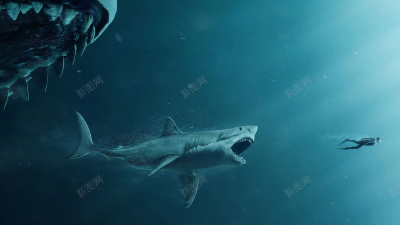 巨齿鲨与人类jpg设计背景_新图网 https://ixintu.com 人类 刺激 海底 鲨鱼