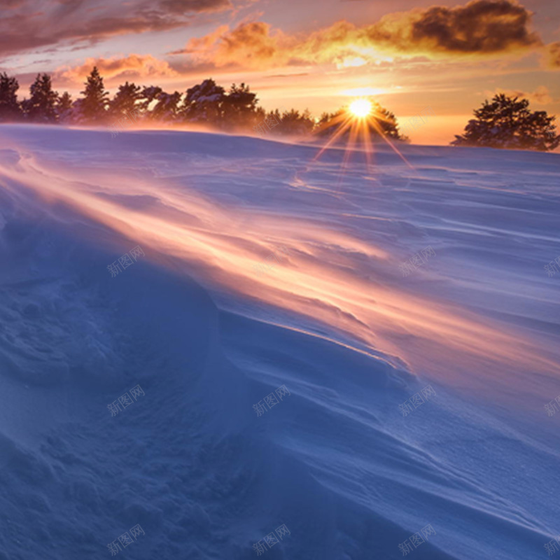 摄影首图psd_新图网 https://ixintu.com 主图 圣诞节 夕阳 摄影 雪地 风景