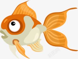 金线鱼海洋生物金鱼图高清图片