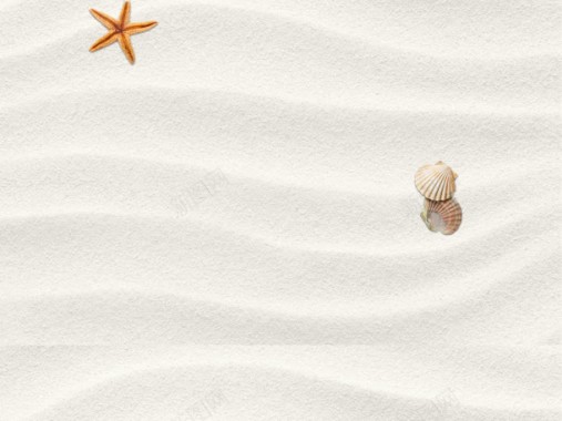 沙滩海星贝壳矢量背景