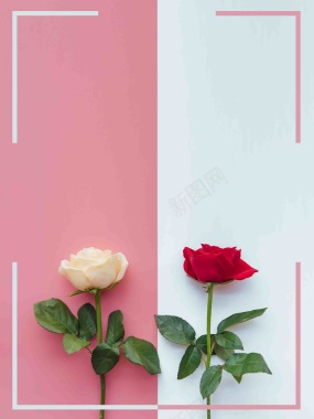 粉色花朵鲜花教师节促销海报背景模板背景
