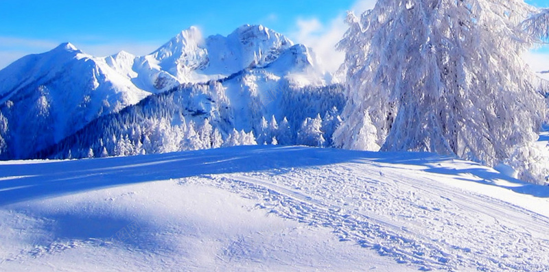 雾凇雪景背景jpg_新图网 https://ixintu.com 大雪 摄影 背景 雪 雪景 雪花 雾凇 风景