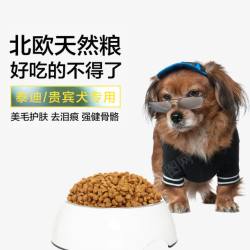 宠物犬天然粮素材