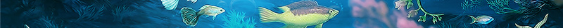 夏季深海海洋海报psd设计背景_新图网 https://ixintu.com 夏季 夏季海报 展板背景 报 海洋 海洋海报 深海 深海海报