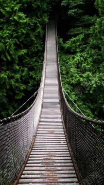 森林吊桥H5背景摄影图片