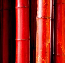 刷红漆的竹子刷红漆的竹子高清图片