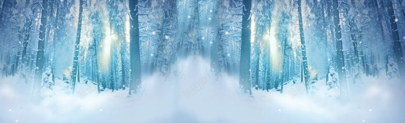 冬季雪树林背景bannerpsd_新图网 https://ixintu.com banner 冬季 摄影 树林 海报banner 背景 雪 风景