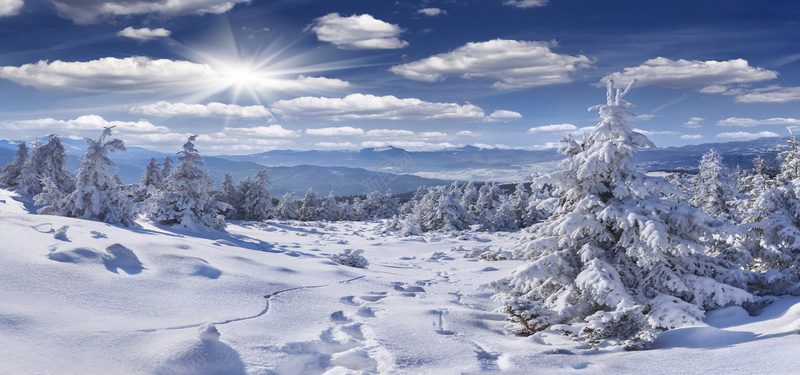冬季唯美雪景jpg_新图网 https://ixintu.com 摄影 树林 海报banner 白云 白雪 脚印 蓝天 被雪覆盖的路 阳光 雪 风景
