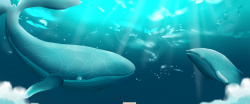 光影云端的鲸鱼梦幻海底世界背景装饰高清图片