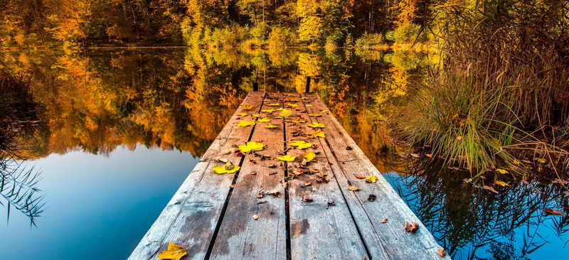风景黄色树蓝水桥背景摄影图片
