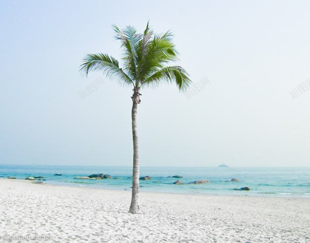 沙滩芭蕉树海水海滩jpg设计背景_新图网 https://ixintu.com 沙滩 海水 海滩 芭蕉