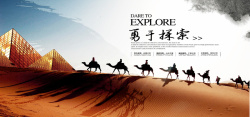 勇气与激情沙漠骆驼高清图片