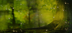 奇幻大树森林浪漫梦幻绿色淘宝海报背景高清图片