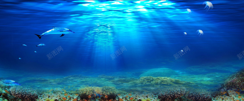 海底背景图psd设计背景_新图网 https://ixintu.com 梦幻 水母 浪漫 海底 海报banner 海豚 珊瑚 蓝色
