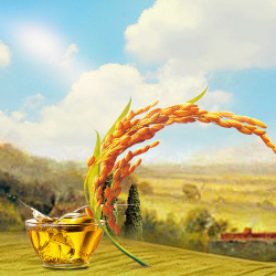 橄榄油促销田野粮油米面PSD分层主图背景高清图片