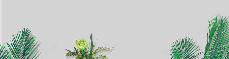 芭蕉叶背景图jpg设计背景_新图网 https://ixintu.com 植物 海报banner 绣球花 绿色 芭蕉叶 花卉 花草