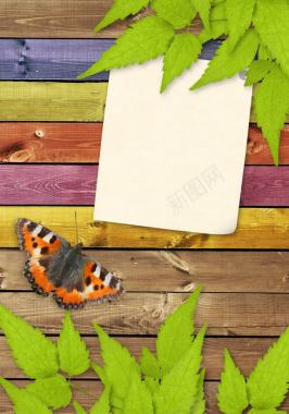 木板树叶蝴蝶纸张背景背景