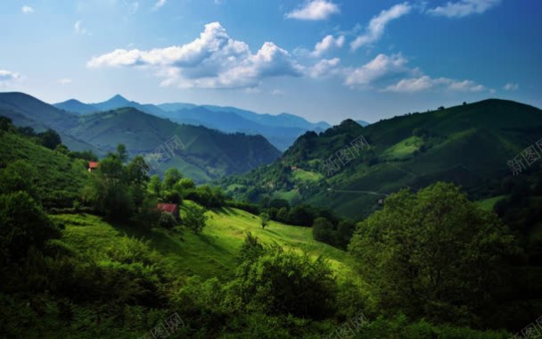 绿色森林蓝天大山背景