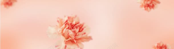 粉色唯美花朵背景jpg设计背景_新图网 https://ixintu.com 幸福 粉色 花朵