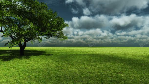 独立倔强成长草地大树jpg设计背景_新图网 https://ixintu.com 倔强 大树 成长 成长过程 独立 草地