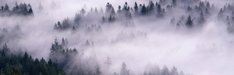 大雾的深山背景