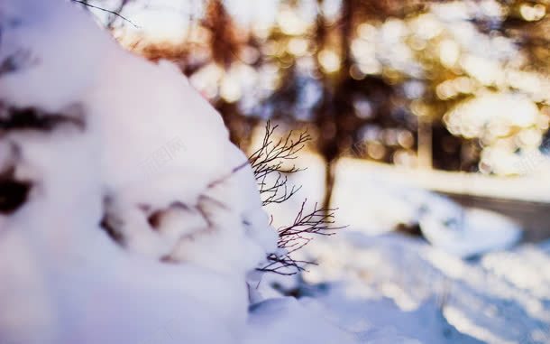 雪地阳光宽屏壁纸jpg设计背景_新图网 https://ixintu.com 壁纸 阳光 雪地