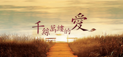 秋天爱情浪漫爱情婚纱背景高清图片