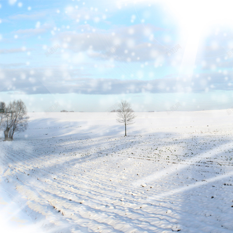 冬季雪景psd_新图网 https://ixintu.com 主图 冬季 小树 摄影 雪景 风景 飘雪