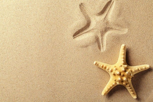 沙滩上的海星jpg设计背景_新图网 https://ixintu.com 其它类别 图片素材 沙滩 沙滩上的海星图片 沙滩上的海星图片素材下载 海星 背景花边