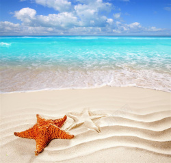 退潮大海边上的海星近景摄影背景高清图片