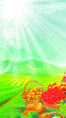 菠萝肉自然水果风光psd分层H5背景摄影图片
