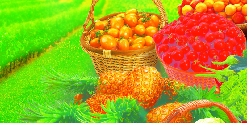 自然水果风光psd分层H5背景psd_新图网 https://ixintu.com H5背景 摄影 柿子 橘子 水果 水果框 水果背景 生鲜 红色 绿色 自然 自然风光 菠萝 风光 风景