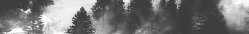 神秘树林山水海报psd设计背景_新图网 https://ixintu.com 世外桃源 个性 创意 唯美 山 树林 特色 神秘 迷雾