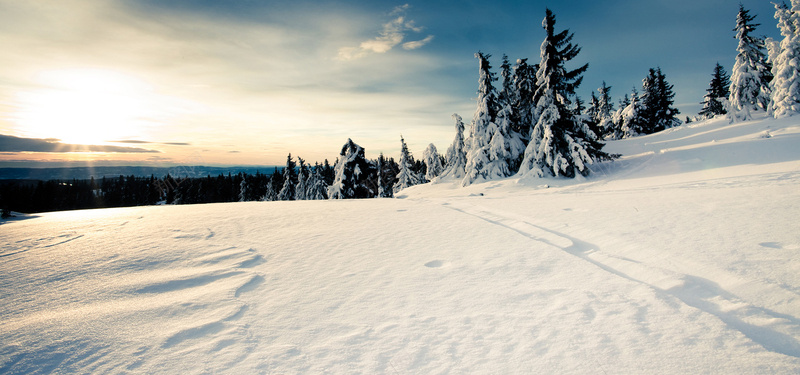 雪地背景psd_新图网 https://ixintu.com 唯美 大气 摄影 海报banner 雪景 风景