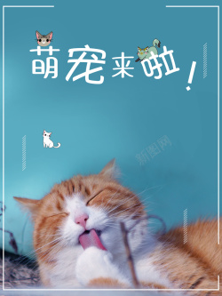 猫造型萌宠宠物店促销海报高清图片