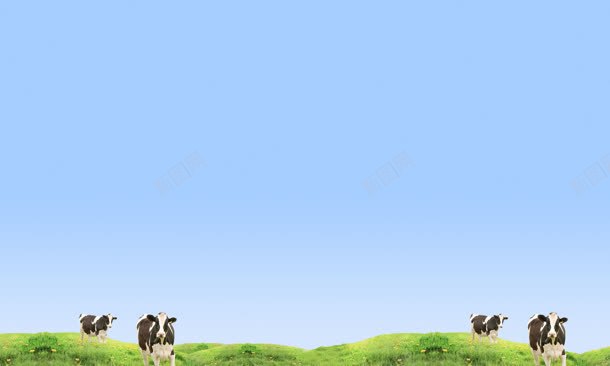 蓝天草地奶牛美景背景
