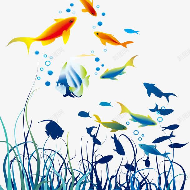 海底鱼儿png免抠素材_新图网 https://ixintu.com png免费下载 海报装饰 海报装饰素材 海鱼 鱼儿