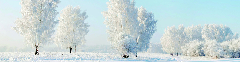 冬天背景bannerpsd_新图网 https://ixintu.com 冬天 摄影 树叶 海报banner 雪花 风景