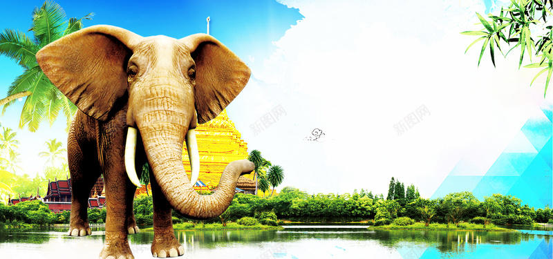 泰国之旅海报psd设计背景_新图网 https://ixintu.com 大象 旅游海报 旅行背景 泰国 风景
