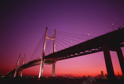 城市共建夕阳中的拉索大桥高清图片