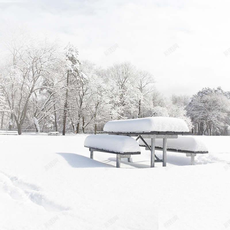 冬季郊外背景psd_新图网 https://ixintu.com 主图 冬天 冬季 摄影 虚化 雪景 雪花 风景