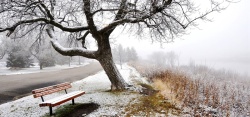 冬天的公园图片公园长椅高清图片