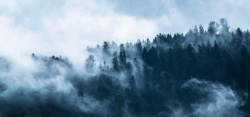 云雾缭绕的山林山林云雾缭绕背景图高清图片