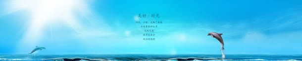 越出水面的海豚海报背景jpg设计背景_新图网 https://ixintu.com 水面 海报 海豚 背景