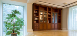 书架效果图家装室内绿色植物与书架等摄影轮播图高清图片